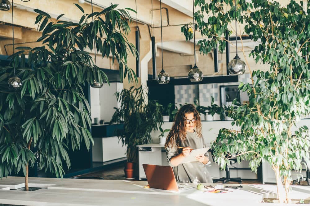 Benefits of Office Plants_Bowen Interiors